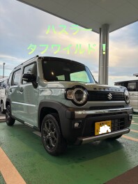 ハイブリッド体感フェアまだまだやってます